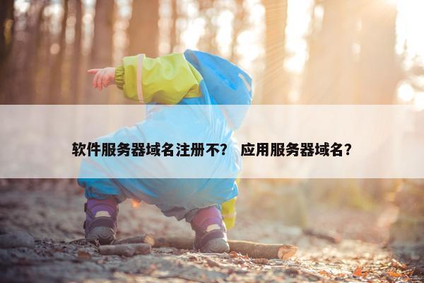软件服务器域名注册不？ 应用服务器域名？