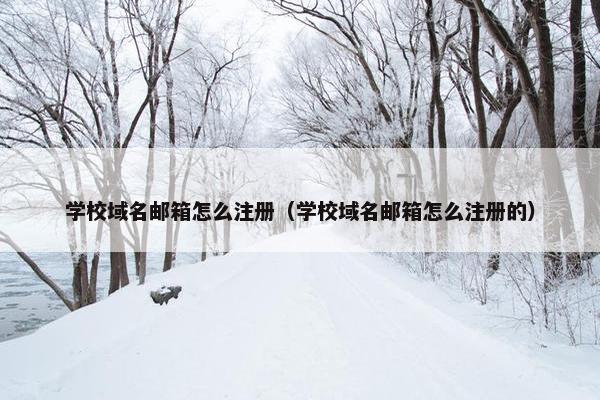 学校域名邮箱怎么注册（学校域名邮箱怎么注册的）