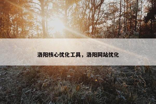 洛阳核心优化工具，洛阳网站优化