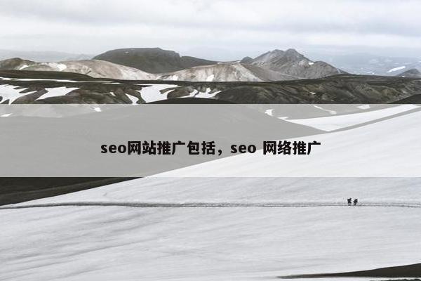 seo网站推广包括，seo 网络推广