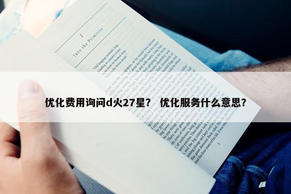 优化费用询问d火27星？ 优化服务什么意思？