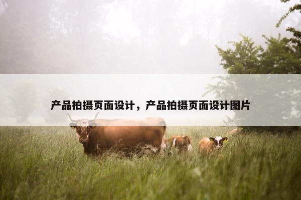 产品拍摄页面设计，产品拍摄页面设计图片