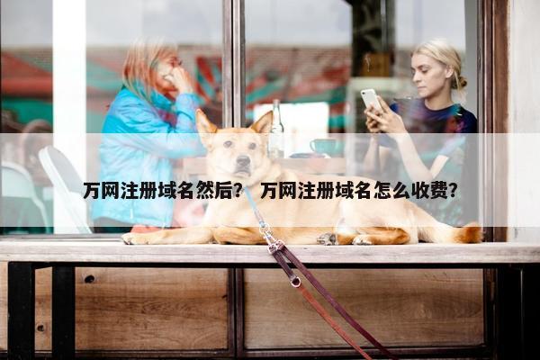 万网注册域名然后？ 万网注册域名怎么收费？