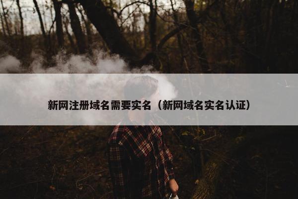 新网注册域名需要实名（新网域名实名认证）