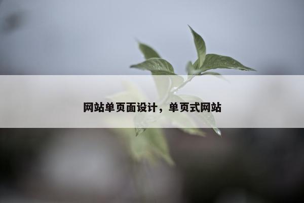 网站单页面设计，单页式网站