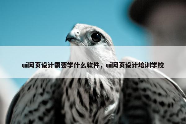 ui网页设计需要学什么软件，ui网页设计培训学校