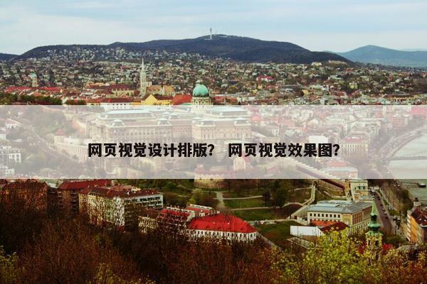 网页视觉设计排版？ 网页视觉效果图？