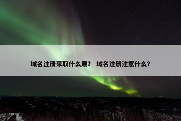 域名注册采取什么原？ 域名注册注意什么？