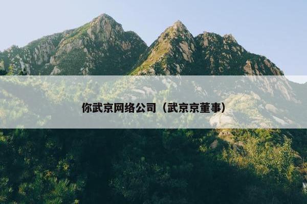 你武京网络公司（武京京董事）