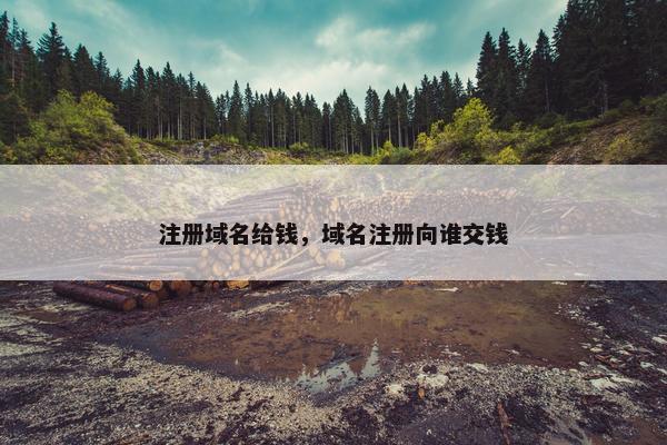 注册域名给钱，域名注册向谁交钱