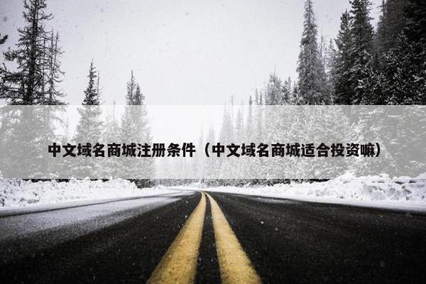 中文域名商城注册条件（中文域名商城适合投资嘛）