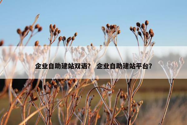企业自助建站双语？ 企业自助建站平台？