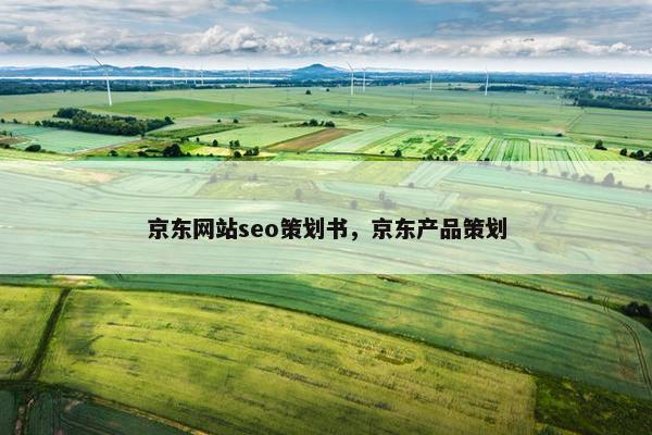 京东网站seo策划书，京东产品策划