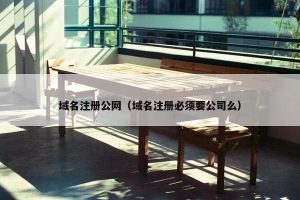 域名注册公网（域名注册必须要公司么）