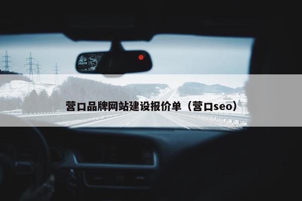营口品牌网站建设报价单（营口seo）