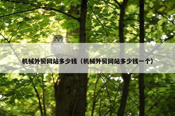 机械外贸网站多少钱（机械外贸网站多少钱一个）