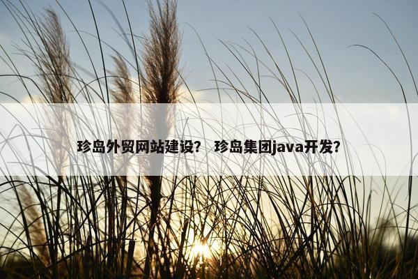 珍岛外贸网站建设？ 珍岛集团java开发？
