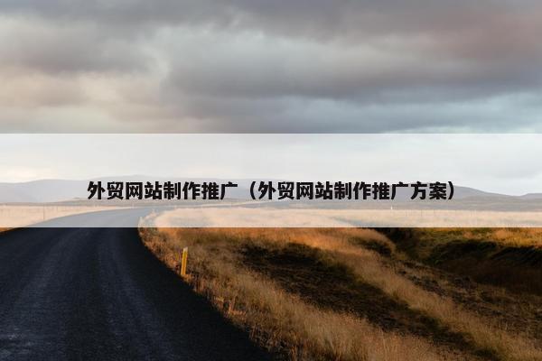 外贸网站制作推广（外贸网站制作推广方案）