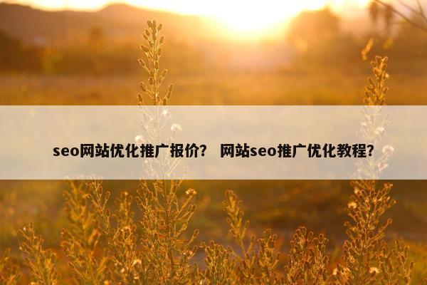 seo网站优化推广报价？ 网站seo推广优化教程？
