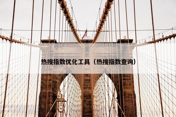 热搜指数优化工具（热搜指数查询）