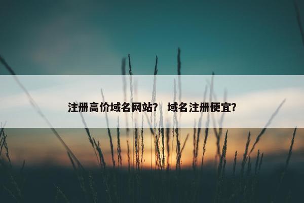 注册高价域名网站？ 域名注册便宜？