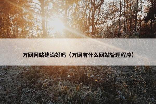 万网网站建设好吗（万网有什么网站管理程序）