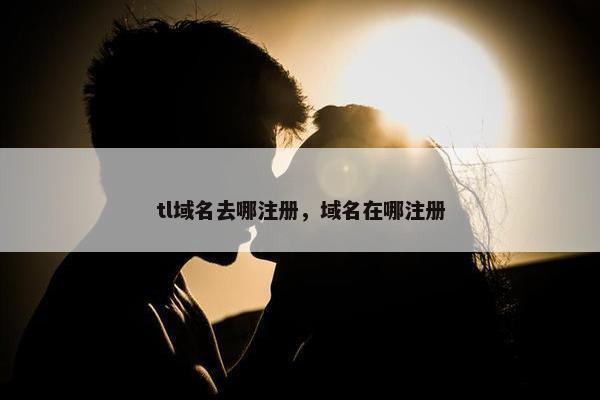 tl域名去哪注册，域名在哪注册