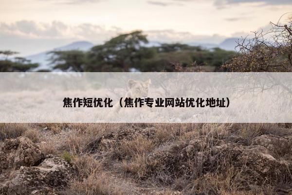 焦作短优化（焦作专业网站优化地址）