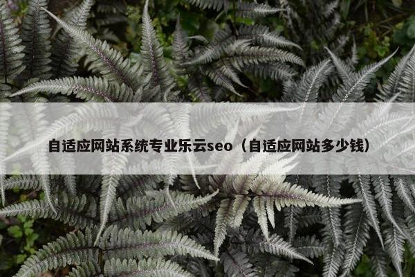 自适应网站系统专业乐云seo（自适应网站多少钱）