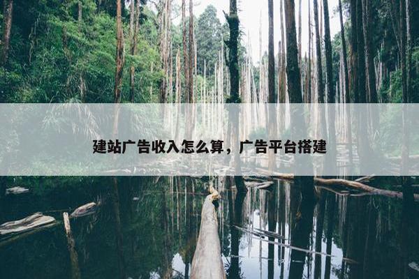 建站广告收入怎么算，广告平台搭建