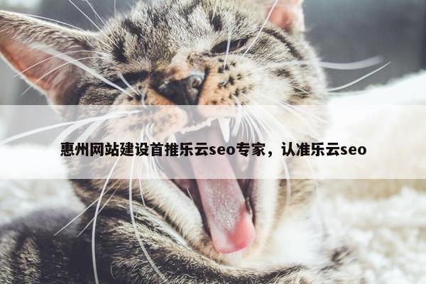 惠州网站建设首推乐云seo专家，认准乐云seo