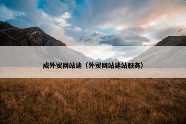 成外贸网站建（外贸网站建站服务）