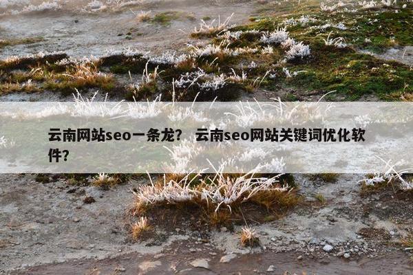 云南网站seo一条龙？ 云南seo网站关键词优化软件？