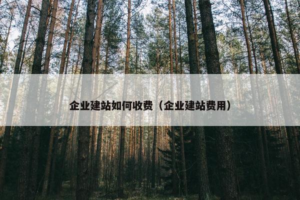 企业建站如何收费（企业建站费用）