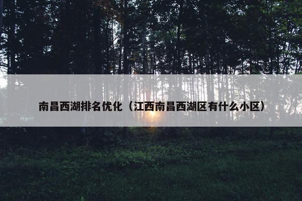 南昌西湖排名优化（江西南昌西湖区有什么小区）