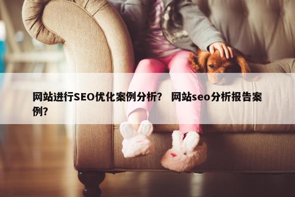网站进行SEO优化案例分析？ 网站seo分析报告案例？