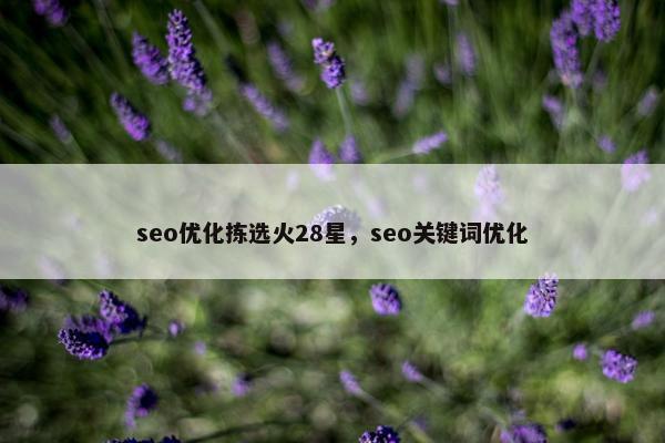 seo优化拣选火28星，seo关键词优化