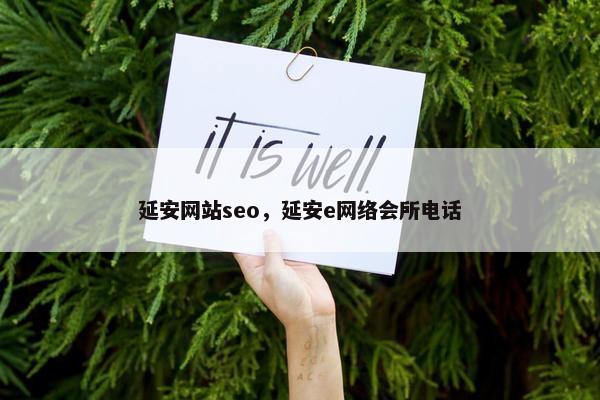 延安网站seo，延安e网络会所电话
