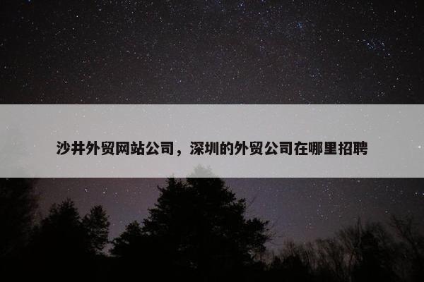 沙井外贸网站公司，深圳的外贸公司在哪里招聘