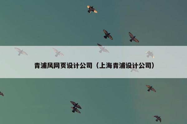 青浦风网页设计公司（上海青浦设计公司）