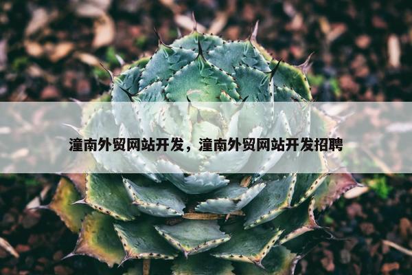 潼南外贸网站开发，潼南外贸网站开发招聘