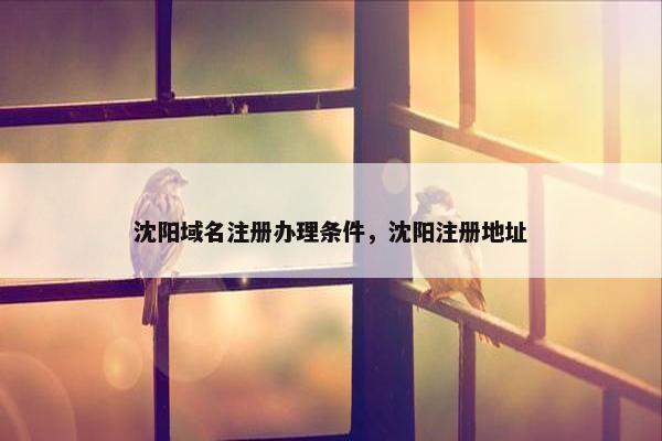 沈阳域名注册办理条件，沈阳注册地址