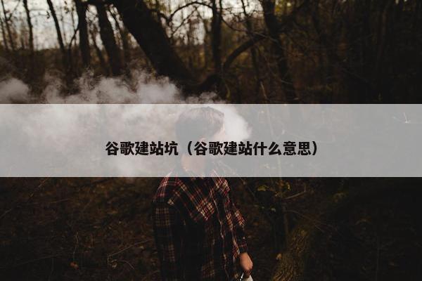 谷歌建站坑（谷歌建站什么意思）