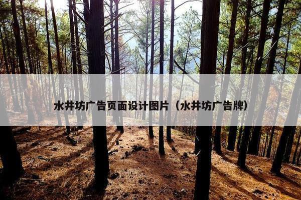 水井坊广告页面设计图片（水井坊广告牌）