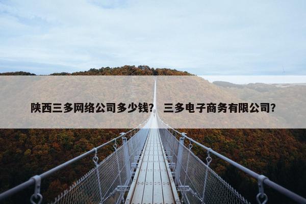 陕西三多网络公司多少钱？ 三多电子商务有限公司？