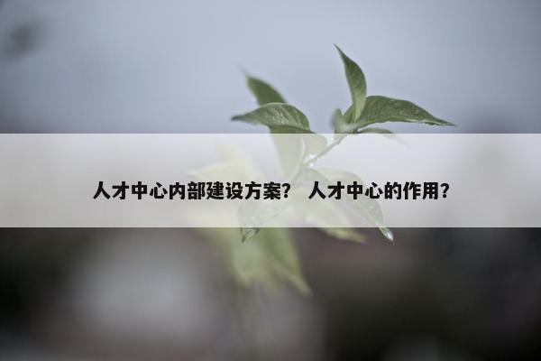 人才中心内部建设方案？ 人才中心的作用？