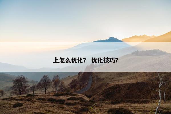上怎么优化？ 优化技巧？