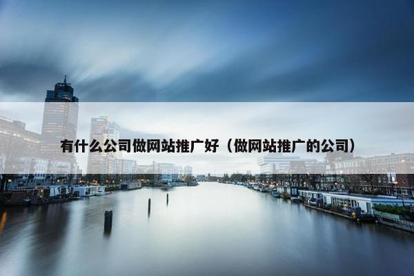 有什么公司做网站推广好（做网站推广的公司）