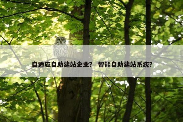 自适应自助建站企业？ 智能自助建站系统？