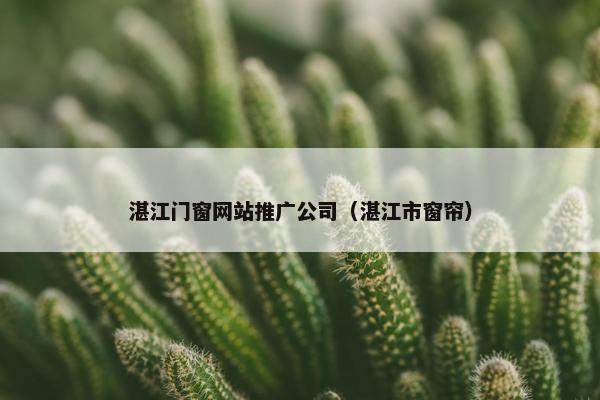 湛江门窗网站推广公司（湛江市窗帘）